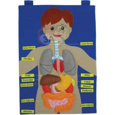 Vücudumuzu Tanıyalım Kumaş Cırtlı Pano