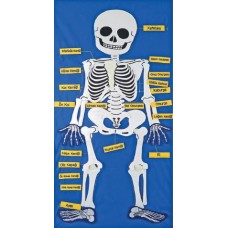 Kumaş İskelet Modeli