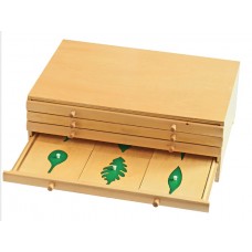 Botanik Yaprak Çekmeceler