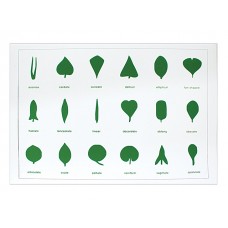 Botanik Kontrol Kartları