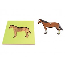 At Puzzle İskeletli