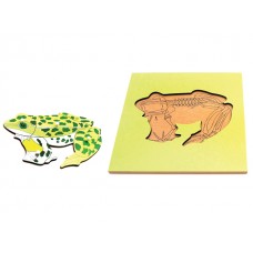 Kurbağa Puzzle İskeletli
